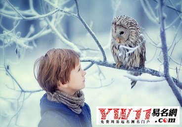 男孩小名2029