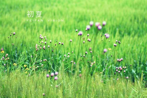 初夏出生的宝宝如何取名