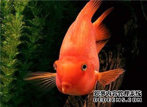 姓名测你今年财运最旺在几月