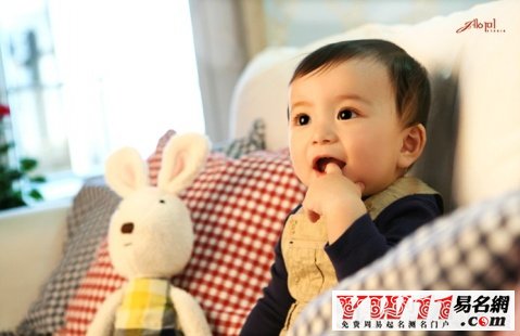 免费婴儿起名网站