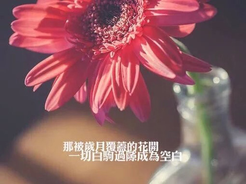 吉祥的二胎宝宝名字