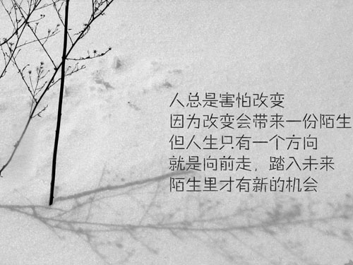 美轮美奂的女孩名字