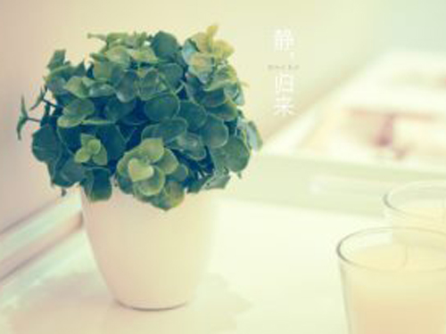 好听的双胞胎宝宝名字参考大全！