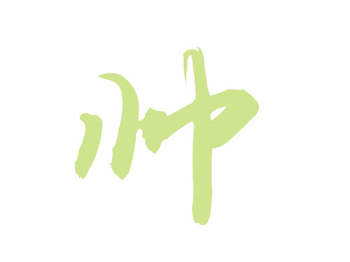 帅姓经典名字大全