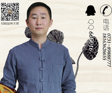 起名网林大师怎么样