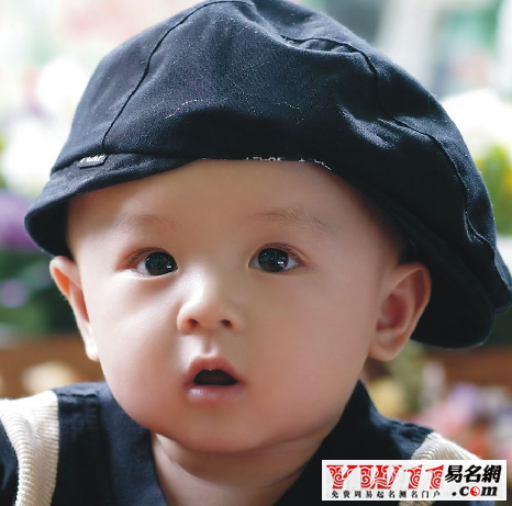 龙宝宝时尚好听乳名大全