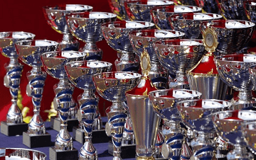 新颖又正式的奖项名字