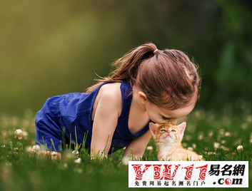 宀字旁的字有哪些