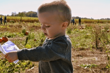 好听的男孩的小名属鼠
